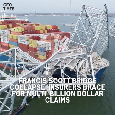 The collapse of Baltimore's Francis Scott Key Bridge following a collision with a container ship has had serious consequences.
