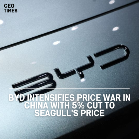 BYD has announced a 5% price cut for its compact car, the Seagull, amid a ferocious price battle in China's auto sector.