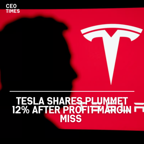 Tesla stock fell 12% on Wednesday, wiping off roughly $100 billion in market value.